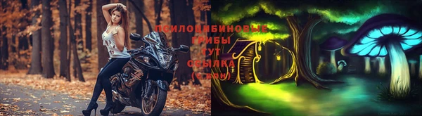 гашишное масло Аркадак