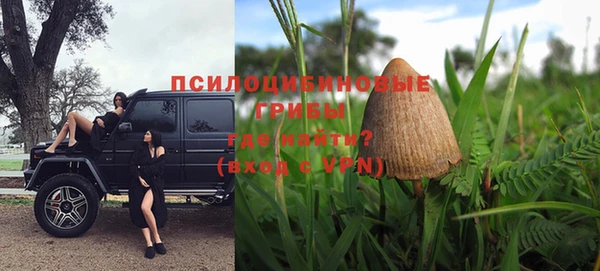 стафф Армянск