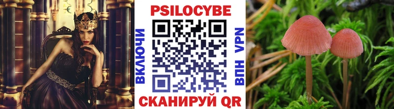 Псилоцибиновые грибы Cubensis  Купить где  Сураж 